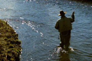 Fishing in a river